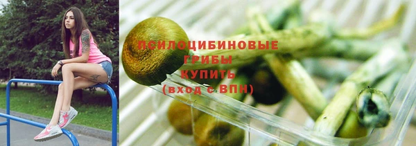 СК Алзамай