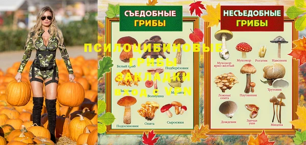 СК Алзамай
